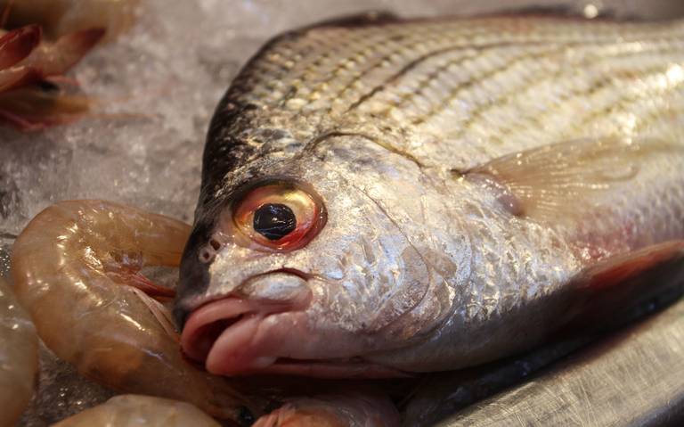 Qué estás comprando cuando compras pescado fresco?