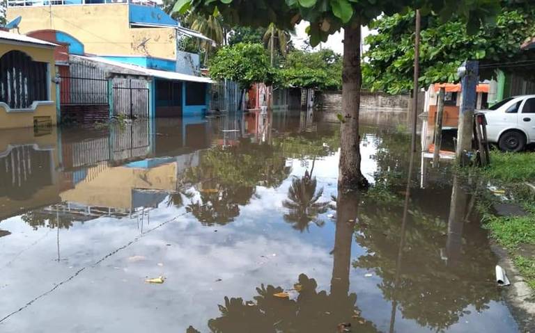 Casas inundadas y árboles caídos, el saldo de las fuertes lluvias: PC -  Diario del Sur | Noticias Locales, Policiacas, sobre México, Chiapas y el  Mundo