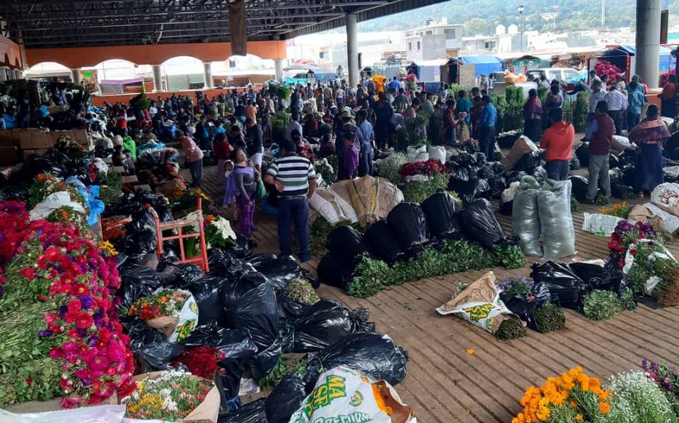 Por los suelos venta de flores en Chiapas: comerciantes, flores,  tradiciones, ingresos, dinero, pandemia, - Diario del Sur | Noticias  Locales, Policiacas, sobre México, Chiapas y el Mundo