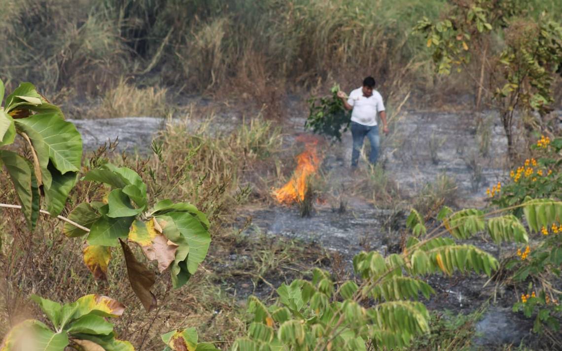 Inician Incendios De Pastizales En Huixtla Diario Del Sur Noticias