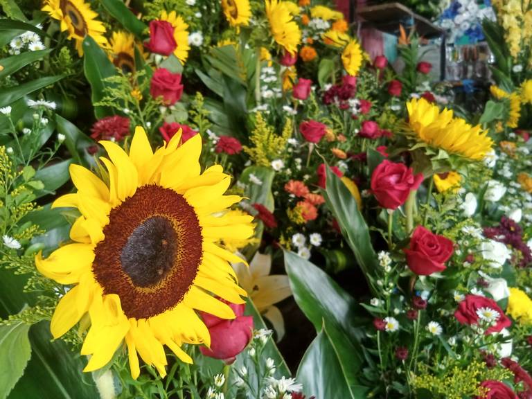 Por los suelos venta de flores en Chiapas: comerciantes, flores,  tradiciones, ingresos, dinero, pandemia, - Diario del Sur | Noticias  Locales, Policiacas, sobre México, Chiapas y el Mundo