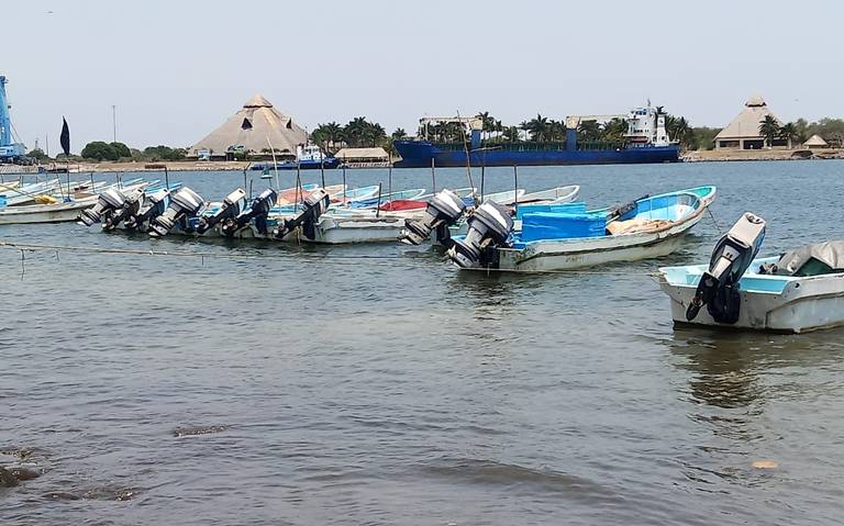 Pescadores de Puerto Madero en crisis ante la caída de comercialización de  productos, covid-19, bajas ventas - Diario del Sur | Noticias Locales,  Policiacas, sobre México, Chiapas y el Mundo